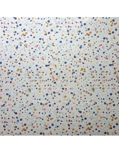 Imperméable réversible pvc transparent  pois multicolore vêtement pluie - tissu habillement - Dock Biarritz