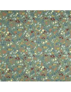 Jersey de coton Oeko-tex imprimé pois colorés sur fond vert poudré - Tissu habillement vente en ligne - vetement couturiere