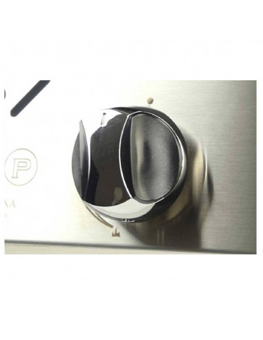 Zoom Plancha basque Gaz 2 feux Inox Plantxa plaque cuisson 8/10 - equipement cuisson exterieure - cuisine saine